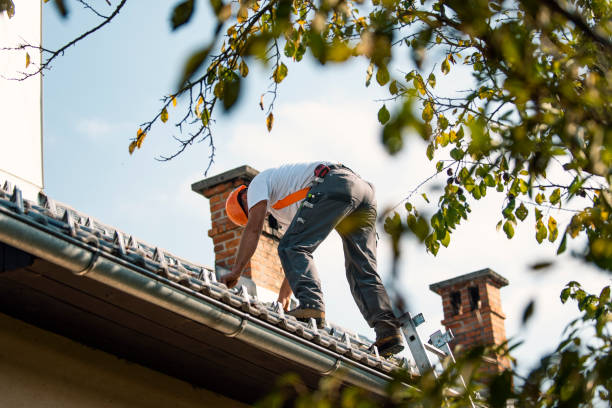 Roof Insulation in Pismo Beach, CA